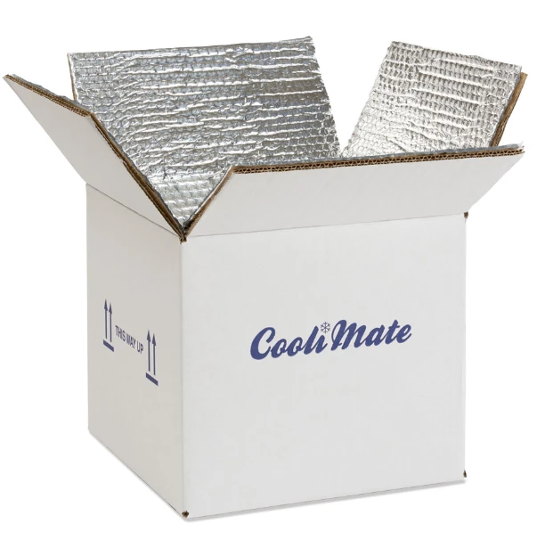 Wholesale Ice Cream Agriculture Packaging Aluminum Foil Thermal Cardboard Shipping Boxes Insulated Carton Box For Delivery