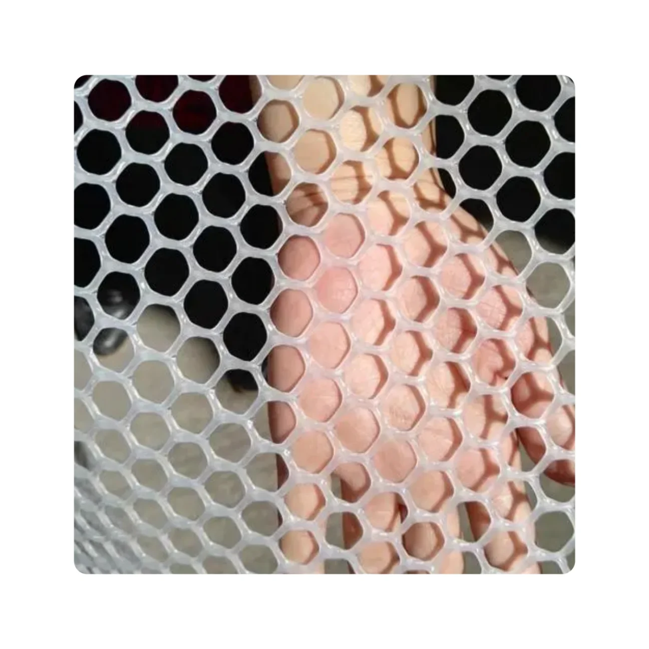 Plastic Wire Mesh for Poultry, Animal Barrier, Floral, Gardening
