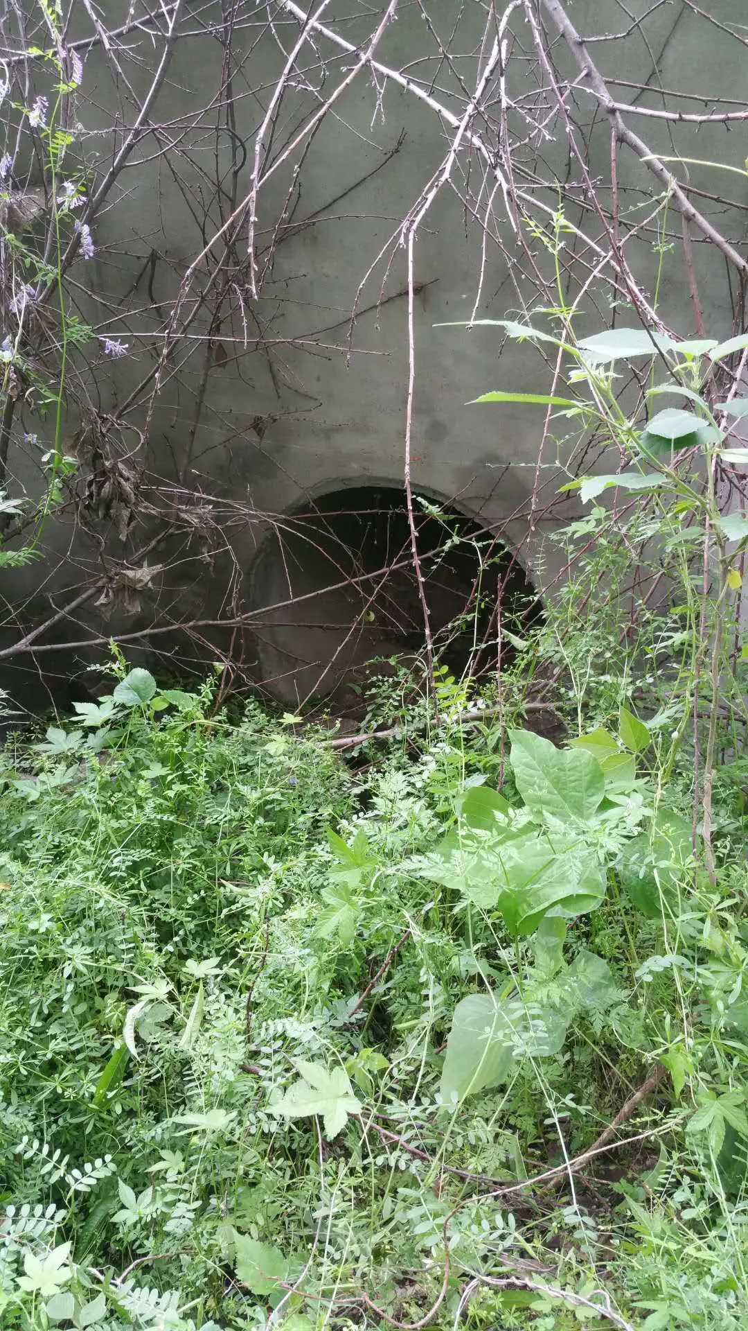 Gold detector for 30 meters depth 3D gold detector