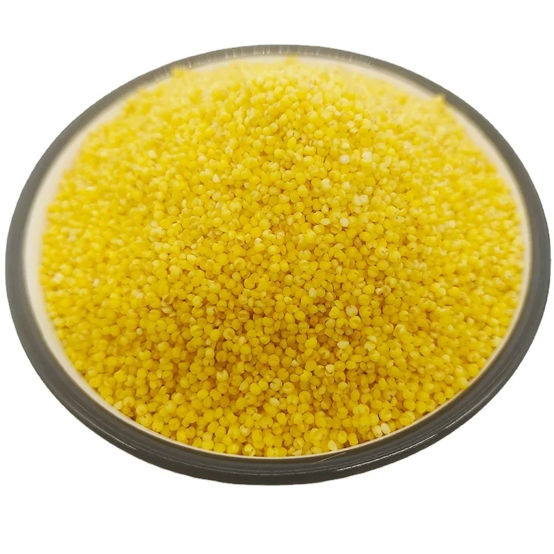 Good  Yellow White Broomcorn Millet Yellow Broom Corn Millet Grains Millets