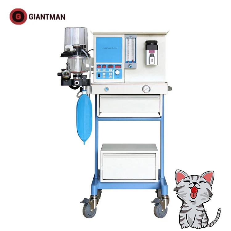 
Cheap Hot Vet Anesthesia Machine Pet Veterinary Anesthesia Machine Price 
