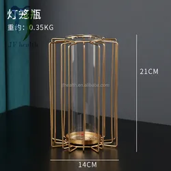 Simple wrought iron geometric vase ornaments home decoration transparent glass dried flower flower arrangement vase