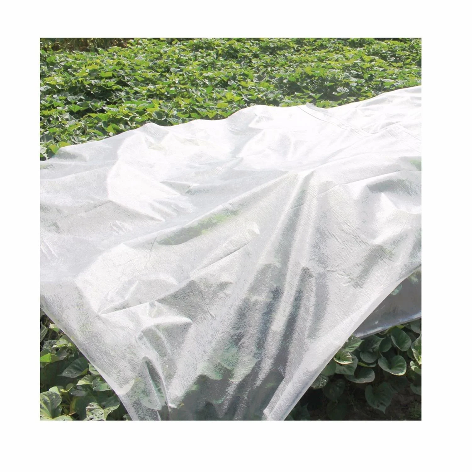 PP non woven weed mat eco-friendly cold-proof