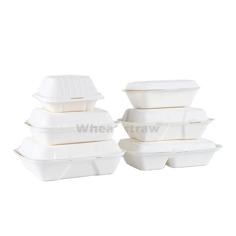 Restaurant catering wholesale disposable biodegradable Ecofriendly Box takeaway Lunchbox 9x7inch