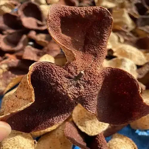 Экстракт апельсиновой цедры с ароматом сока