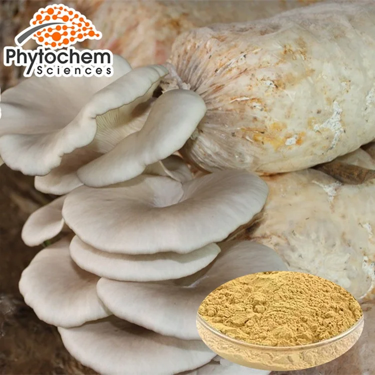 
Pleurotus Ostreatus Oyster Mushroom Extract Fruiting Body 30% Polysacharides by UV-VIS 