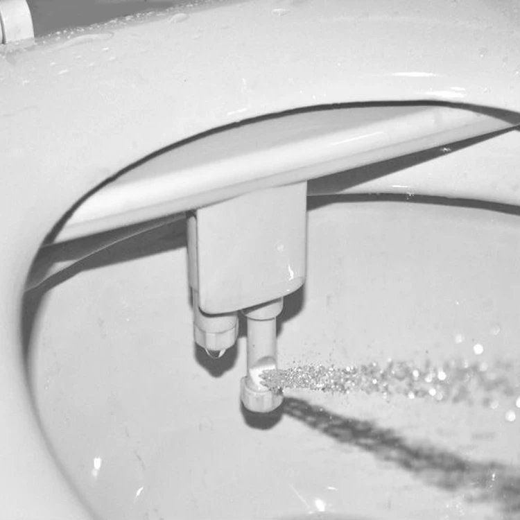Wholesale Dual Nozzle ABS Toilet Bidet For Bathroom Self Cleaning Nozzle Fresh Water Cheap Simple Bidet