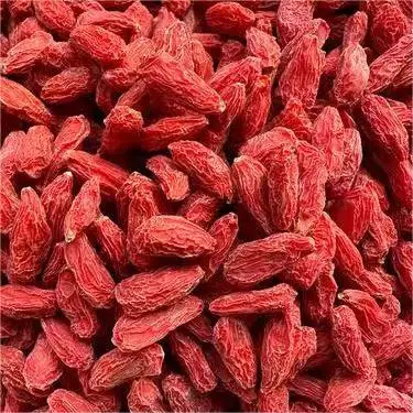 Wholesale Wolfberry premium Organic Goji Berry Hot Products Red Wolfberry With Wholesale low price