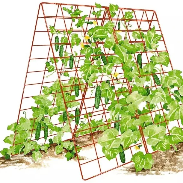 Large Cucumber Trellis metal  iron welded panels  A-Frame Garden plant Trellises