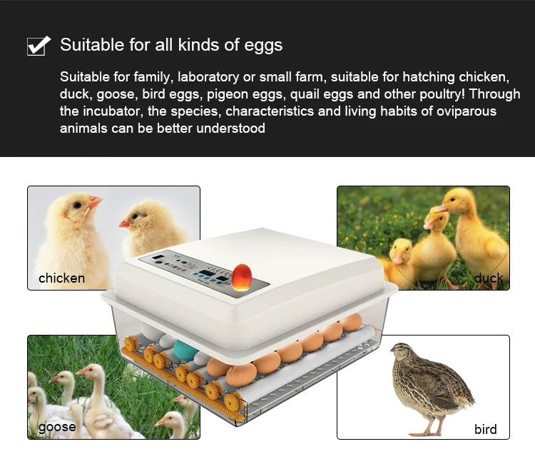 new hot selling products fish egg incubator 200 chicken egg hatching machine for sell
