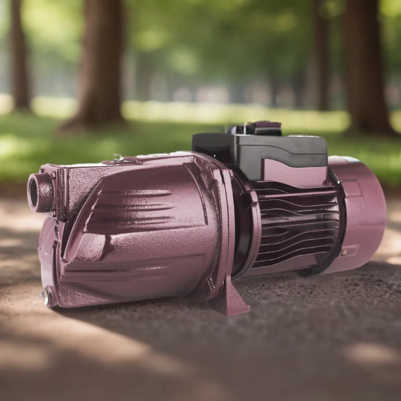 1inch 220v/50hz 0.37kw Copper Wire Motor Electric Self-Priming Cast Iron Booster Jet Pump
