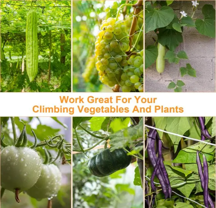 Heavy-duty Polyester Plant Trellis Netting 5 x 15ft Square Mesh Net for Climbing Plant Fruits, Vegetables