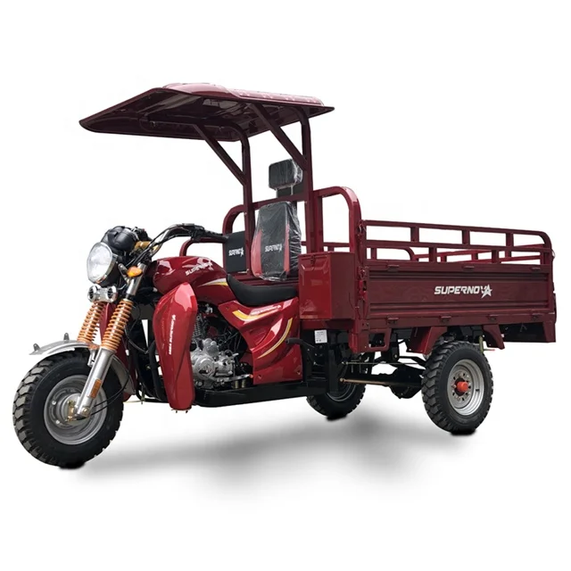
2021 New 150cc MTR 3 wheel bike tricycle cargo with Top Cover 