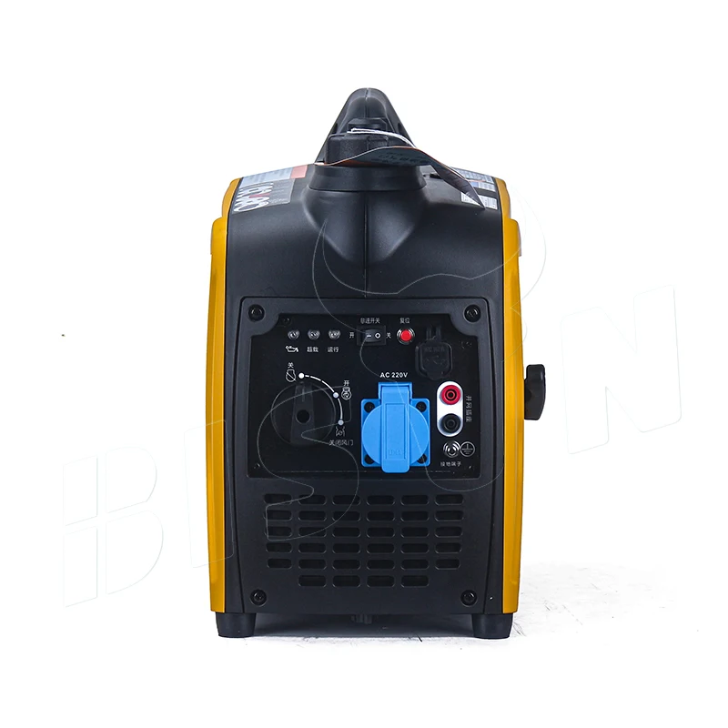 BISON China Taizhou Портативный с ручкой 1 кВт кВА цифровой 110 В 220 инверторный бензиновый генератор по заводской
