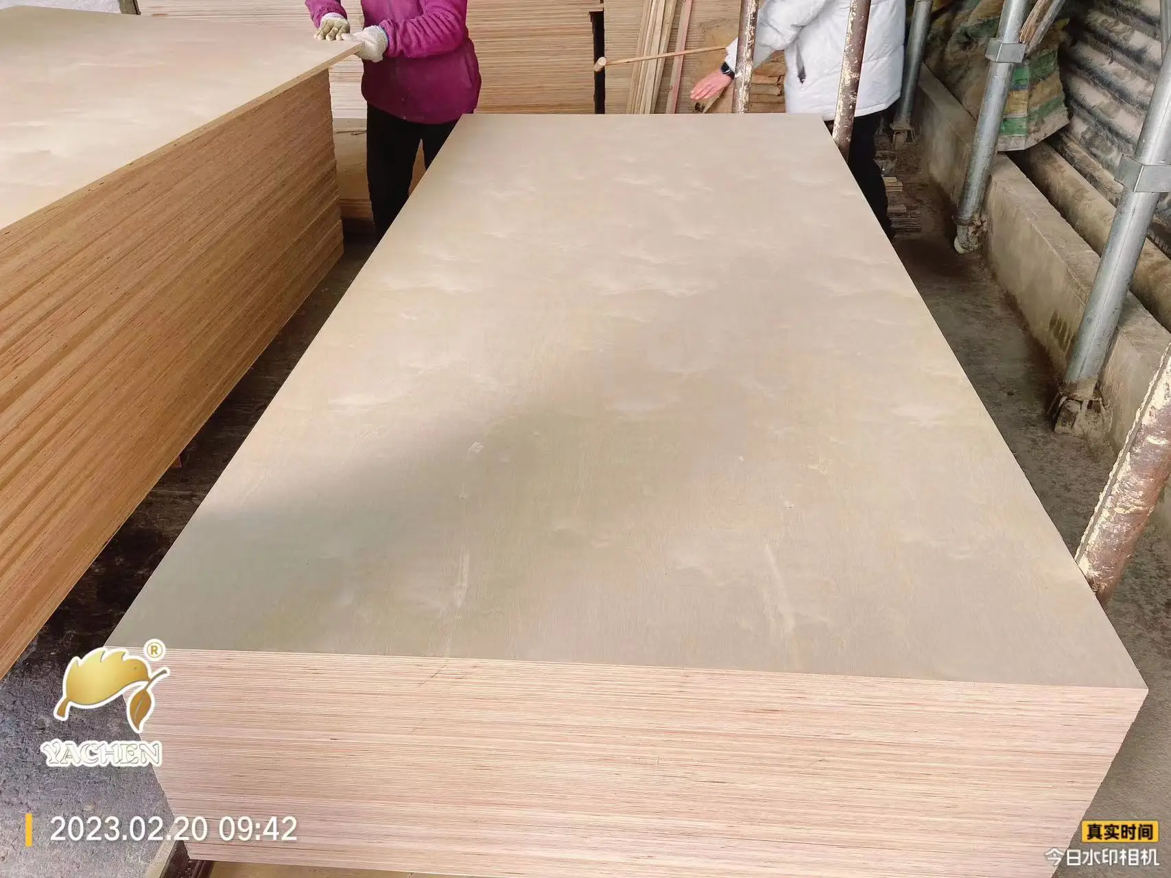 China Supplier Birch/poplar/ Basswood Faced Commercial Laser Cutting Plywood Sheets