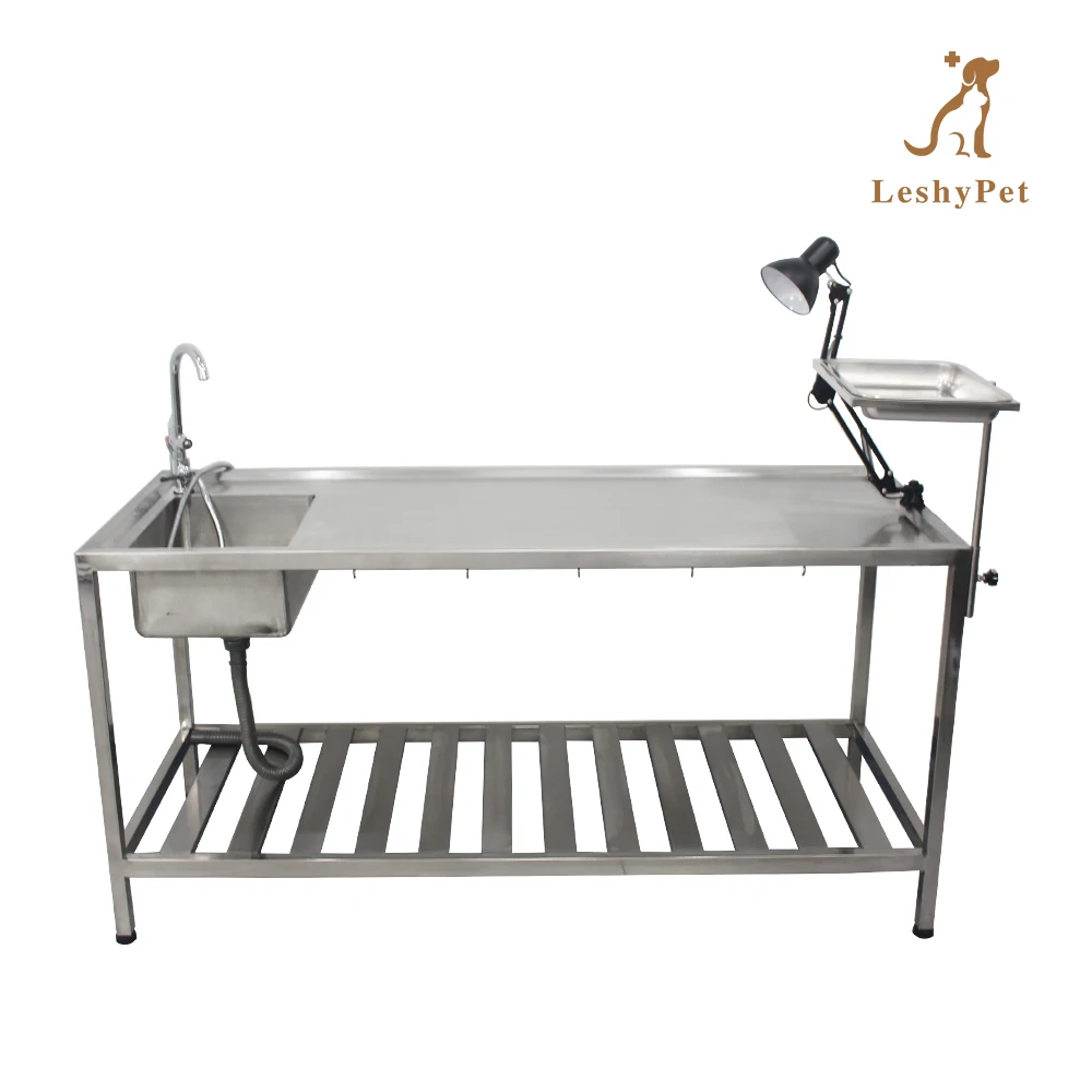 Leshy Pet simple dissection table In Mortuary Body Autopsy dissection table Mortuory dissection table Rectangular