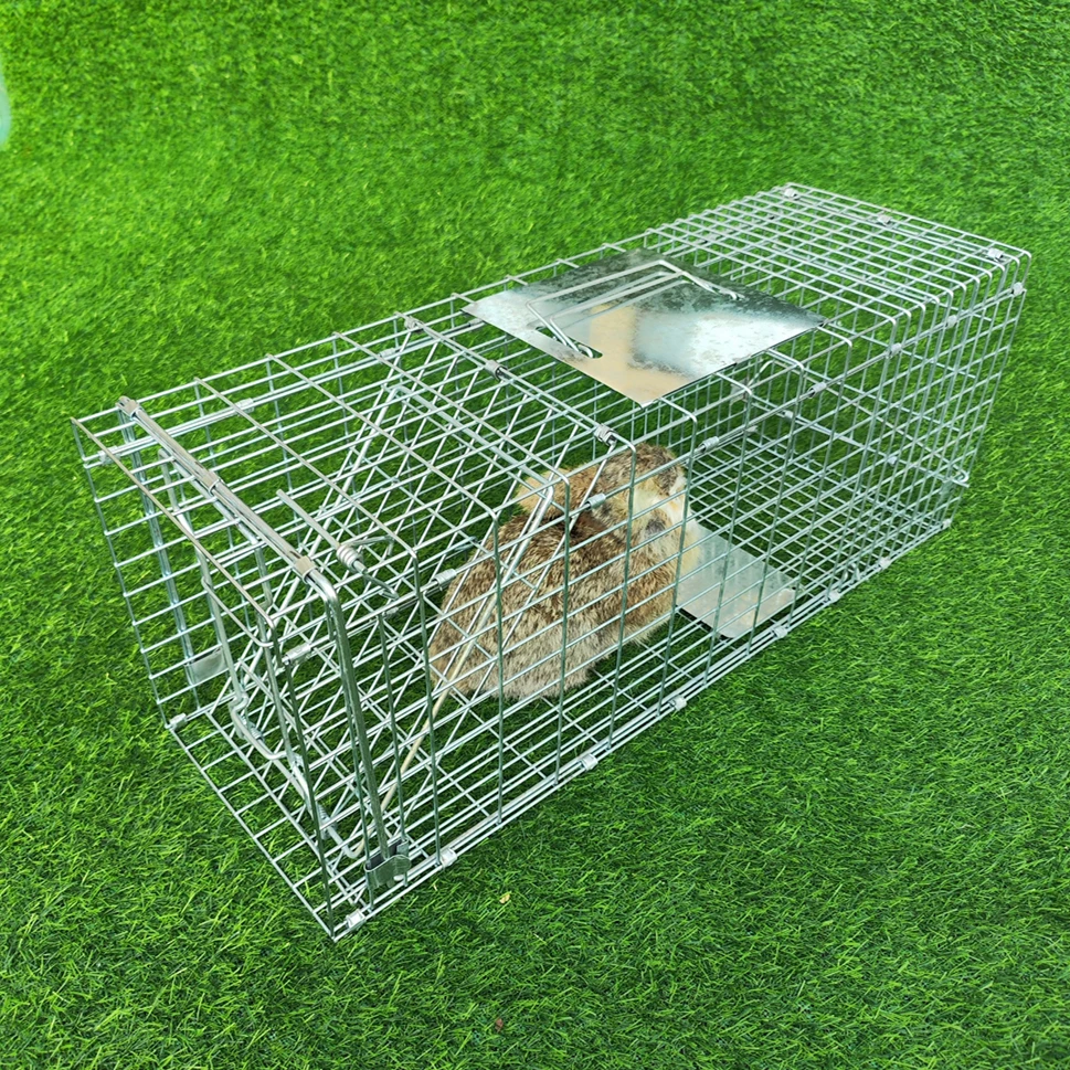 Galvanized metal foldable Live animal trap cages for rabbits cats rat squirrels raccoon
