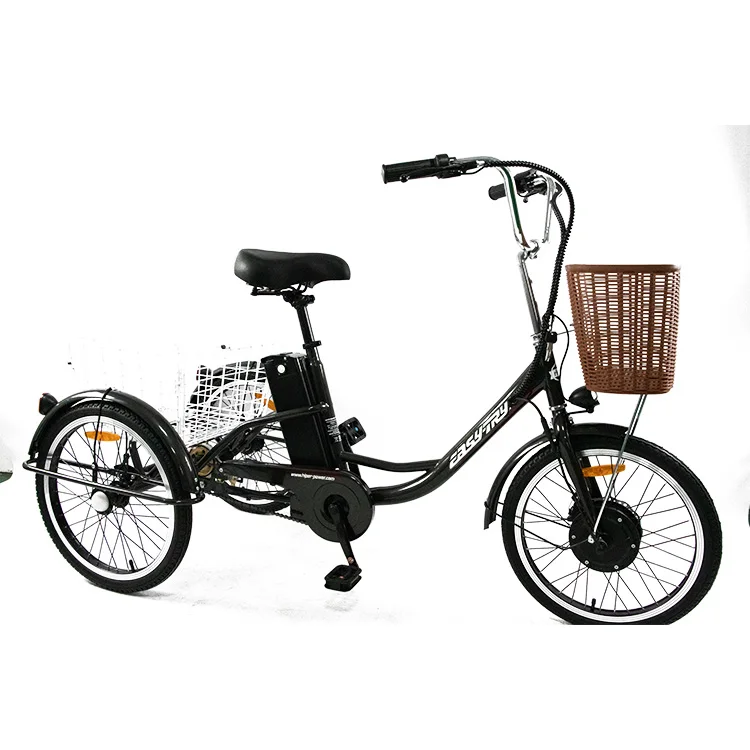 ODE OEM Electric Cargo Bike 48V Lithium Battery 20 Inch Steel Frame Rear Carrier with 36V Voltage Made in China