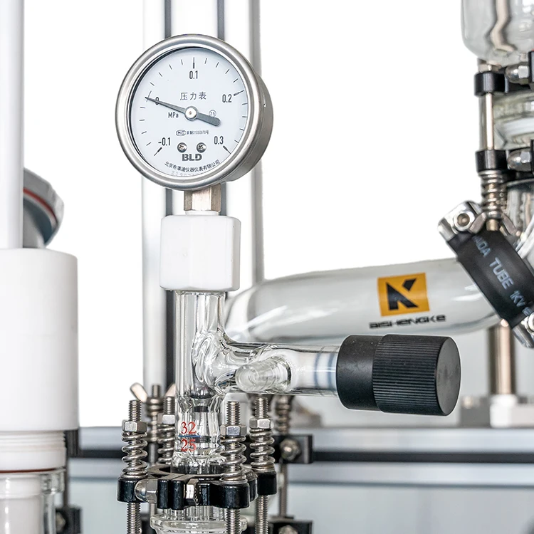 Aishengke 65 Exquisite Structure Manufacturing Lab Equipment Reactor 50l Glass Reaction Kettle Pilot Reactor High Efficient 120W