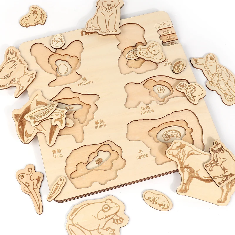 2024 new Biological Evolution Multi-layered Jigsaw Puzzle Early Education DIY Toy Featuring Animal Insect for kids boys girls