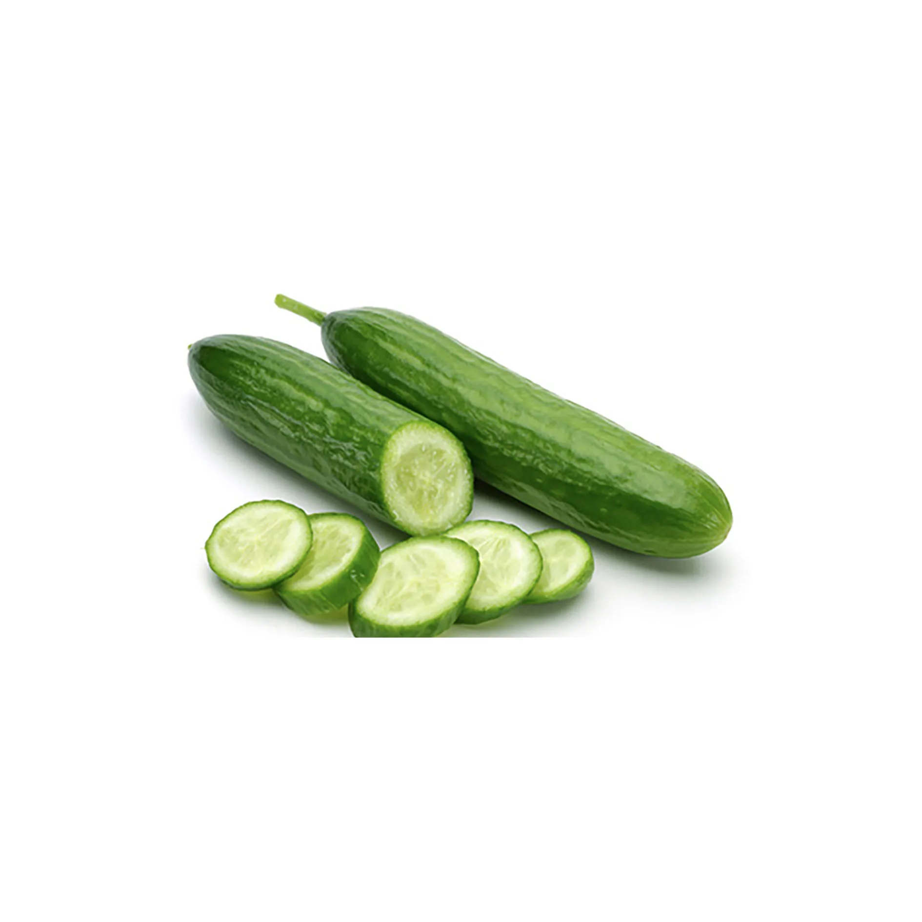 
Wholesale fresh vegetables importer fruits healthy fruity tasty cucumber 