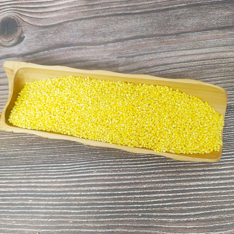 Wholesale Natural Food-grade Organic Yellow Millet China LIANGTIAN  Protein-Rich Foxtail Millet Gluten-free Grain best price