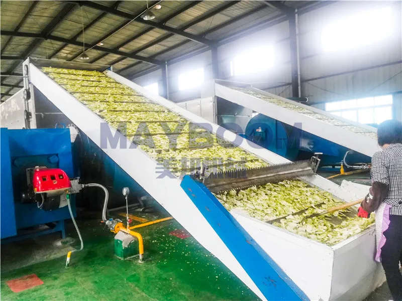 New design 30% energy saving  conveyor herb mesh belt dryer