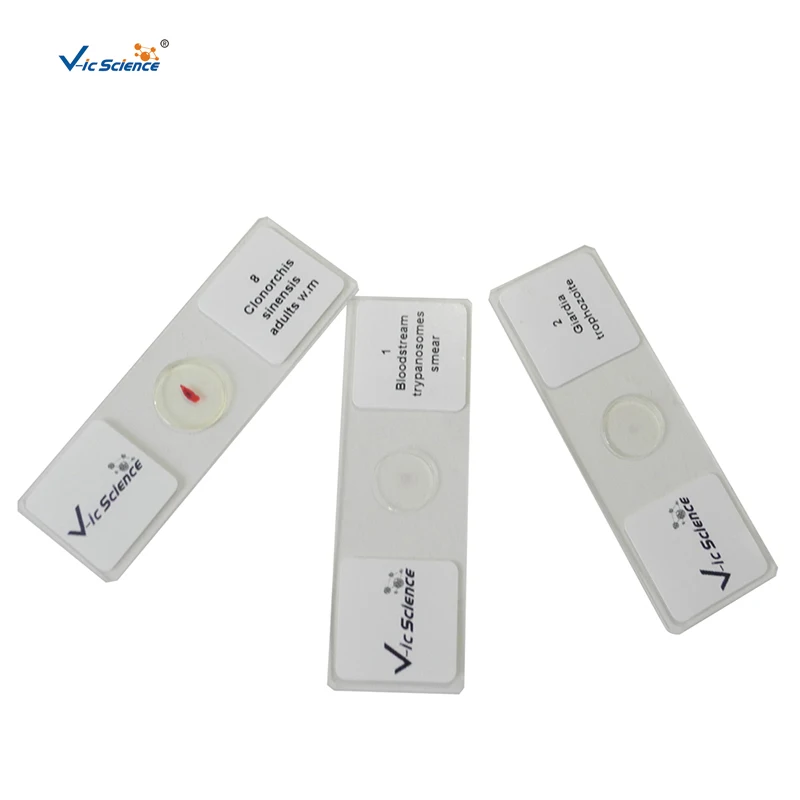 50 pieces of teaching equipment prepare slides for medical students studying medical parasitology