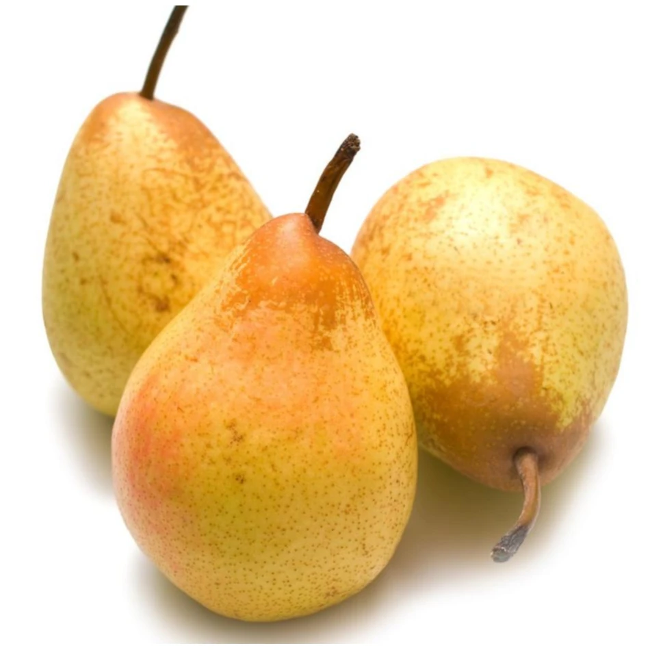 High quality with best price Chinese fresh pear fruit