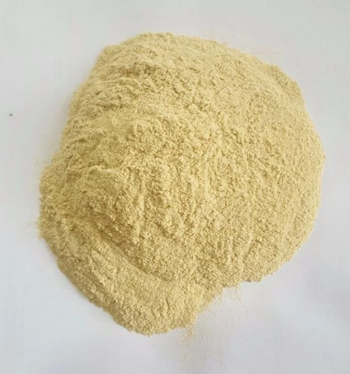 
100% Air Dried Indian Garlic Powder/Dehydrated Garlic Powder 