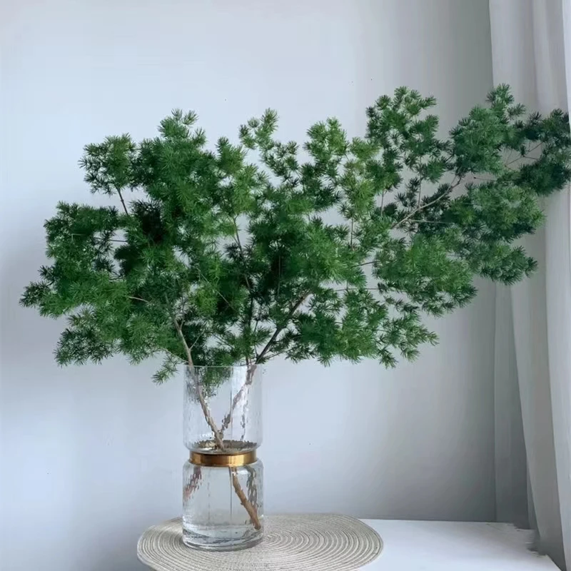 Оптовая продажа свежих цветочных спаржи Yunnan focusflower связка из 5 стеблей доставка холодной цепи