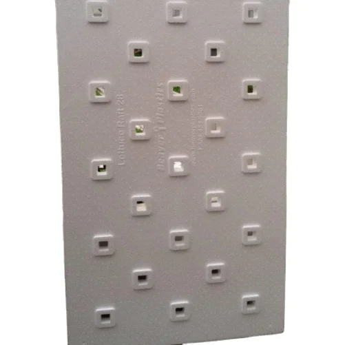 Гидропонный плавающий плот, пластиковая доска из пенополистирола, лист для сельского хозяйства, посадки, теплицы, выращивания овощей