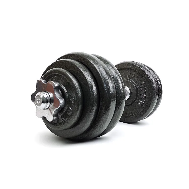 High Quality gym fieness 15kg Weight Baking Paint Dumbbell set for men