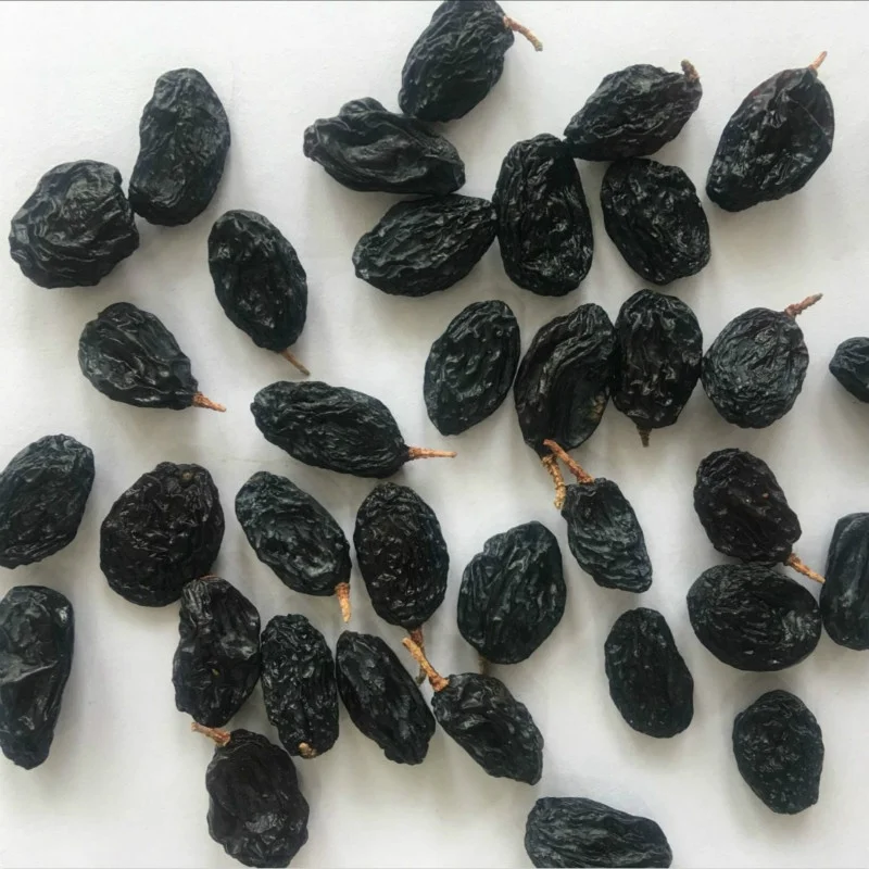 Factory black raisin Xinjiang