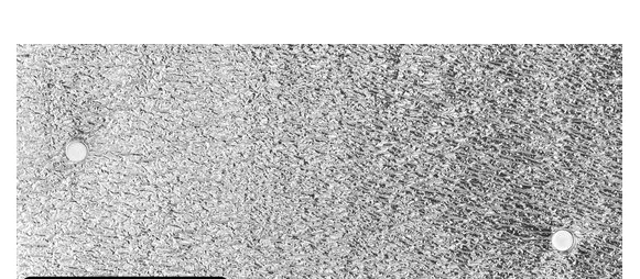 Радиаторы, 10 метров, с 12 магнитными радиаторами, 1000x50 см