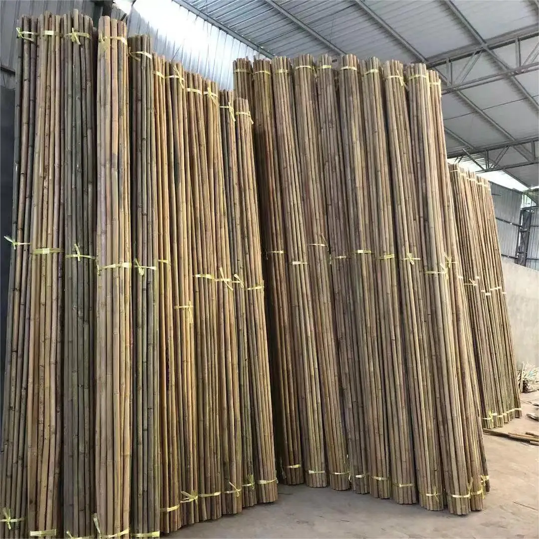 Custom Size Decoration Large Bamboo Poles Bulk Long Natural Straighten Bamboo
