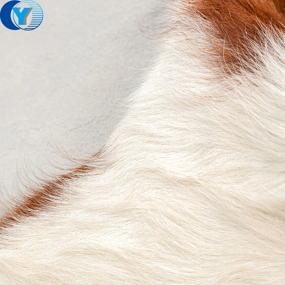 Ins Cattle Cow Hides Natural Leather Bovine Skins Carpets and Rugs with Hair On Natural Shape Custom dyed Wholesale Supply Soft