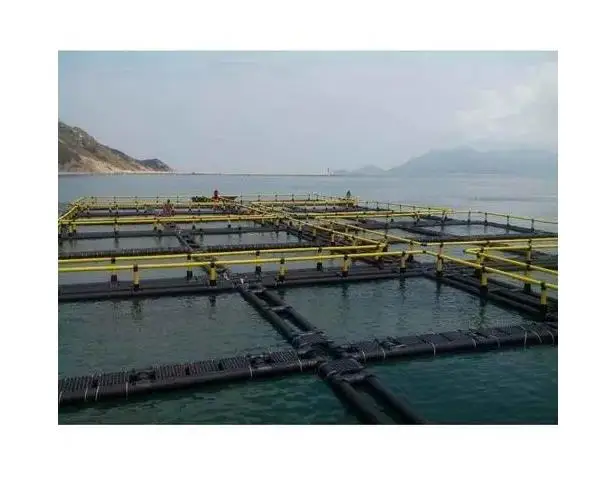 Fish Farming Cage South Africa