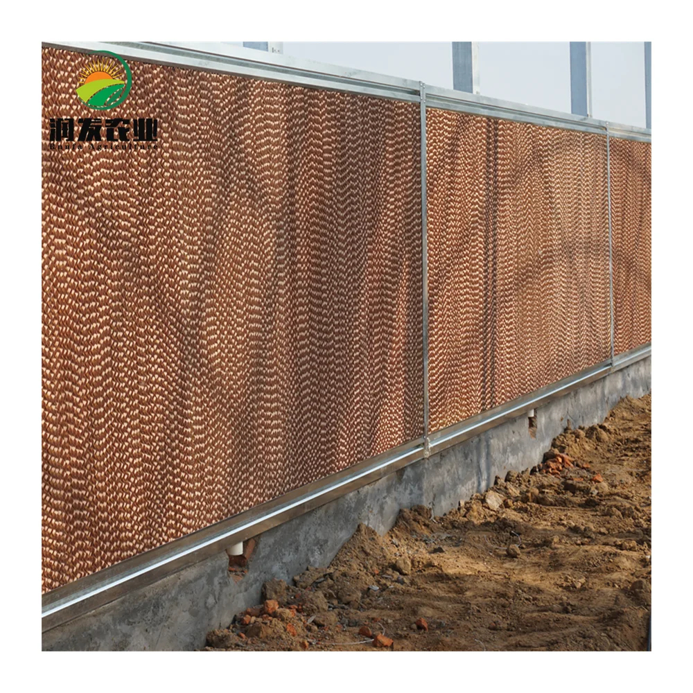 Agricultural Green House Metal Frame Multi-Span Film Greenhouse with Hydroponic and Automatic Irrigation System