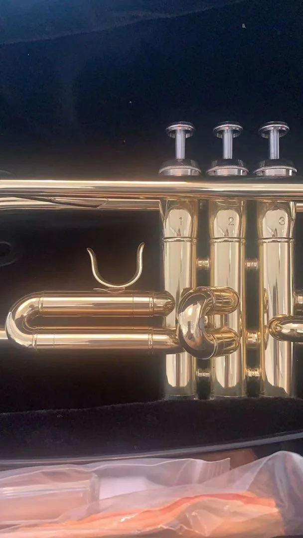 Popular Trumpet trumpet(HTL-671)