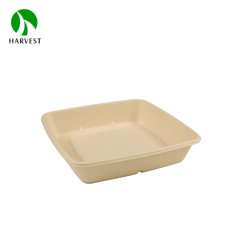 Square 8 Inch Eco friendly sustainable biodegradable food packaging
