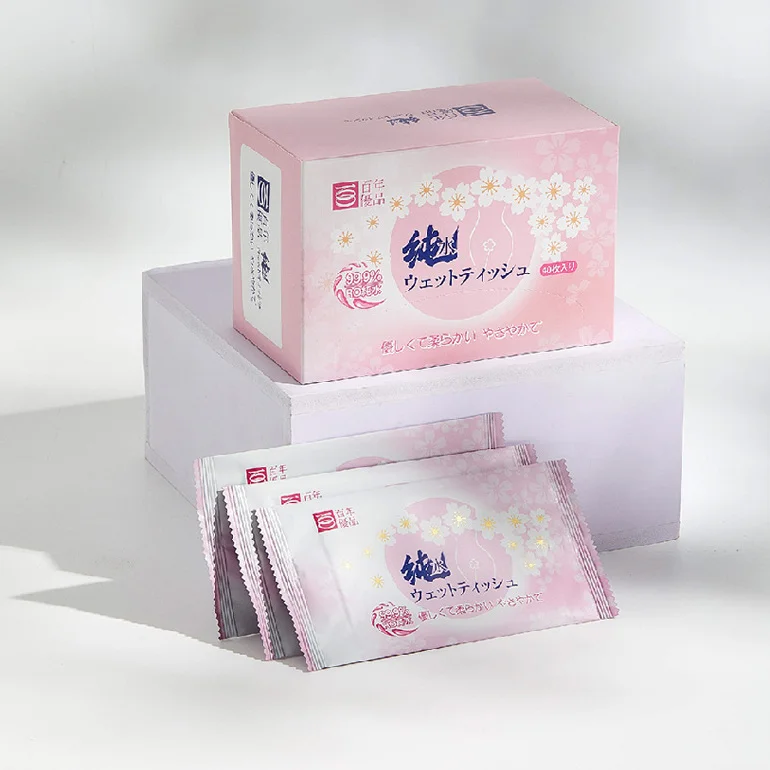 Wet Wipes Individually Packaged Household Wet Toilet Paper Sanitary Wipes Flushable Non-woven Disinfection Cleaning Toilet Wipes