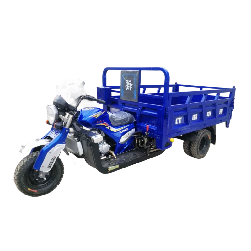Water cooled Tricycle with 200cc 300cc Gasoline Motor 70km/h Speed  5  wheels  engine Agricultural Freight Fuel Cargo Motorcycle