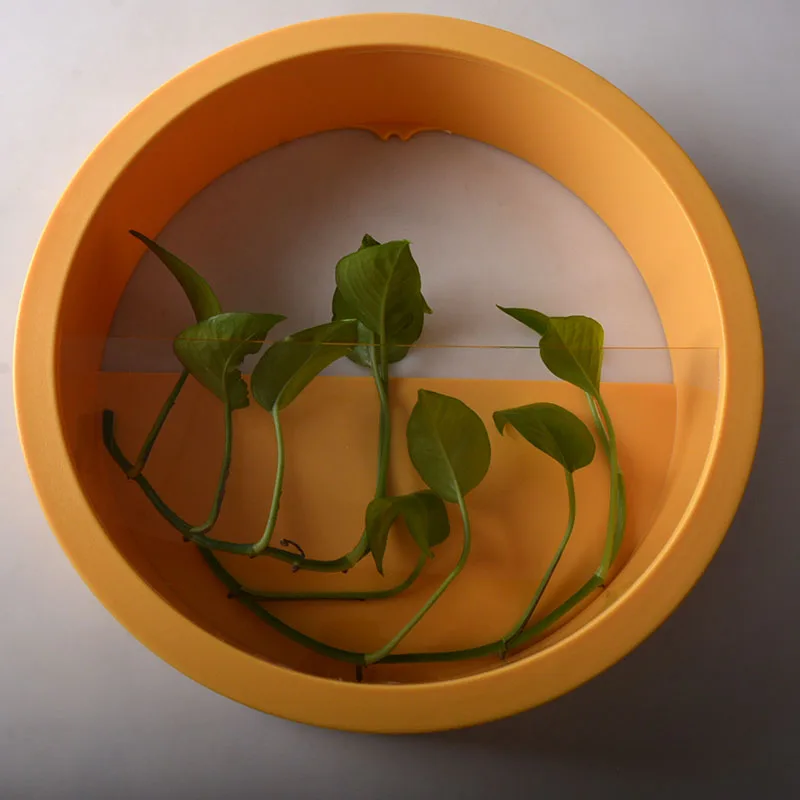 Northern Europe Color Resin round wall hanging Hydroponic flowerpot fish tank for Home Decor For Indoor Or Outdoor Balcony Patio