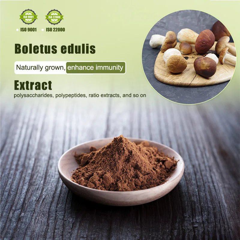 Factory Hot Sale Polysaccharide 30% Porcini Mushroom Extract Boletus Edulis Extract