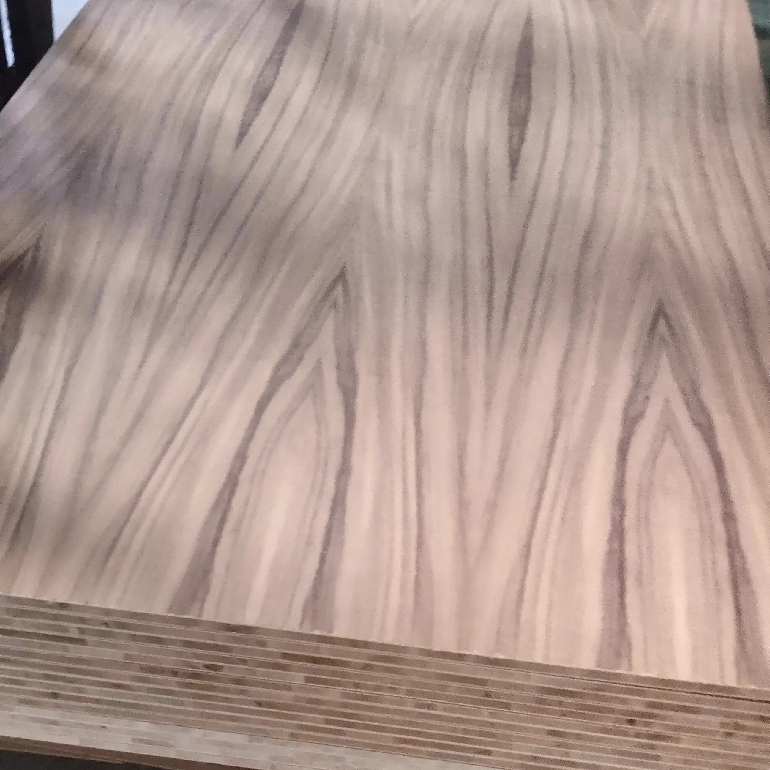 12mm 15mm 18mm Parota/Tzalam Triplay Tzalam Fancy Plywood