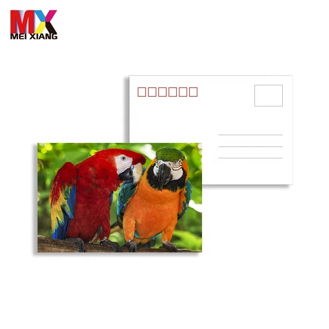 souvenir customize lenticular 3d 5d postcard 3d lenticular postcard with lovely animal