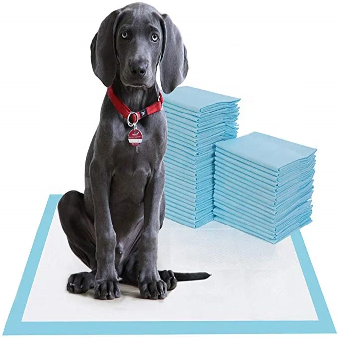 Free Sample Wholesale Waterproof Pet Puppy Training Pads Disposable Dog Pee Pad