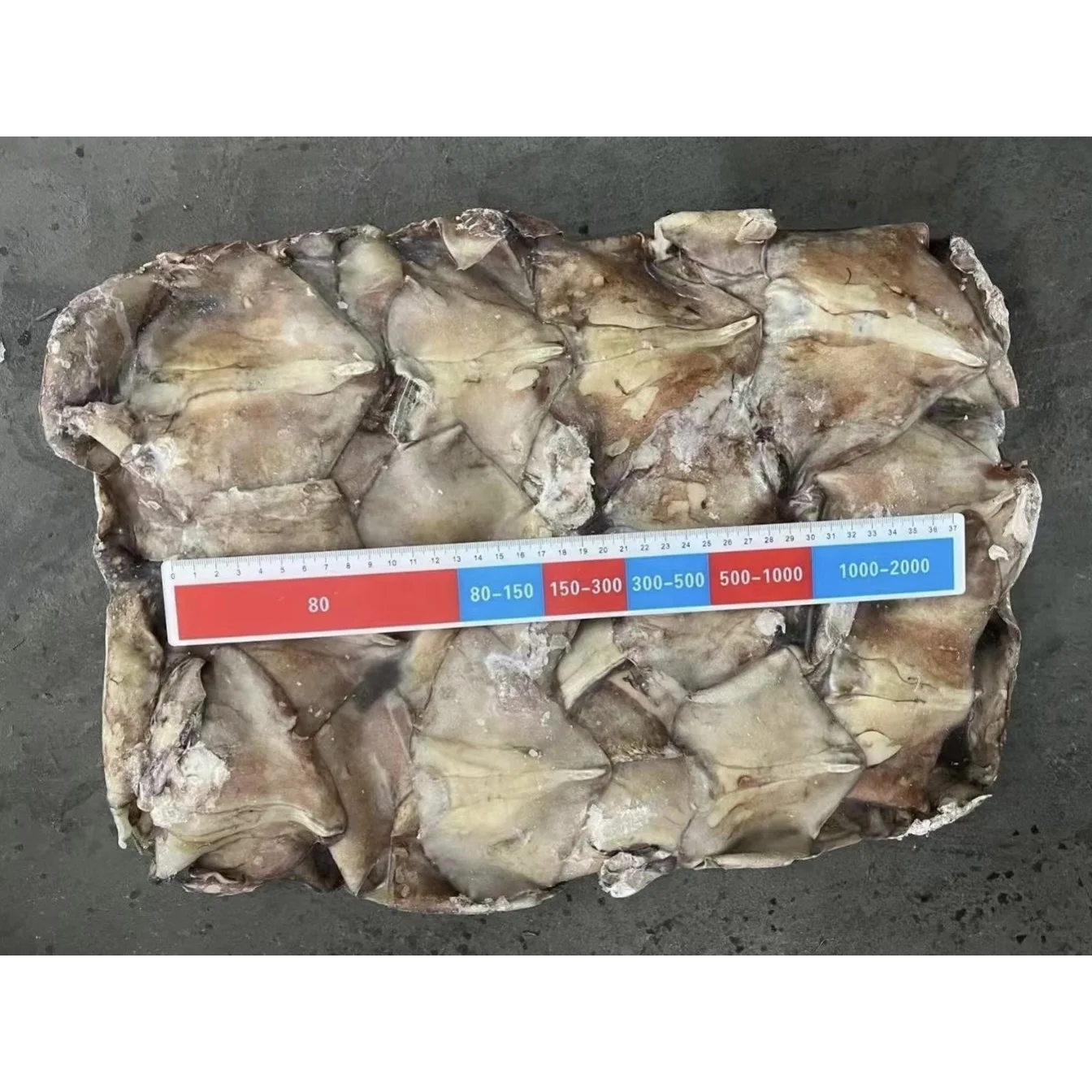 High Quality 300-500g Frozen Giant Squid Ear Squid Wing