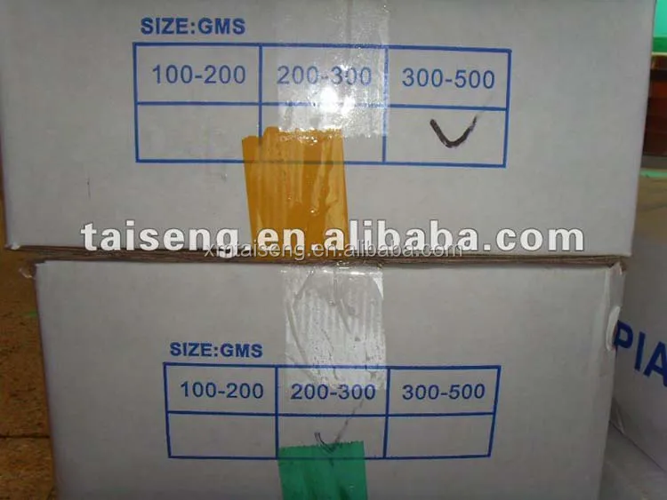 Fresh Frozen China Seabass Fish Whole sale 400-600g